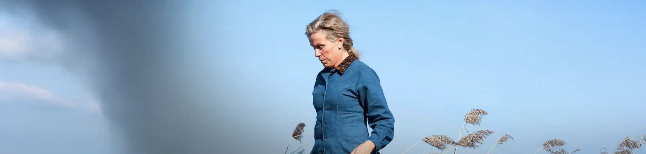 Olive Kitteridge Mini Dizi Konusu: Taşra Yaşamının Ardındaki Fırtına