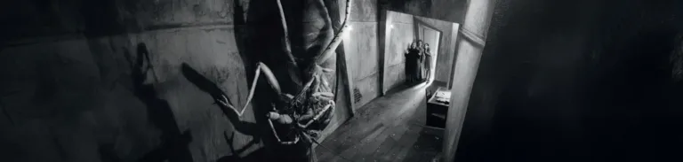 Dönüşüm Franz Kafka Analizi