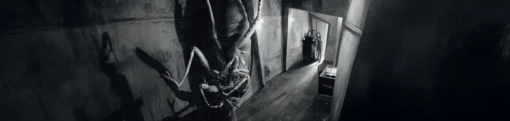 Dönüşüm Franz Kafka Analizi